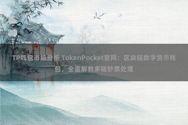 TP钱包市场分析 TokenPocket官网：区块链数字货币钱包，全面解救多链钞票处理